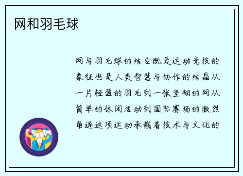 网和羽毛球